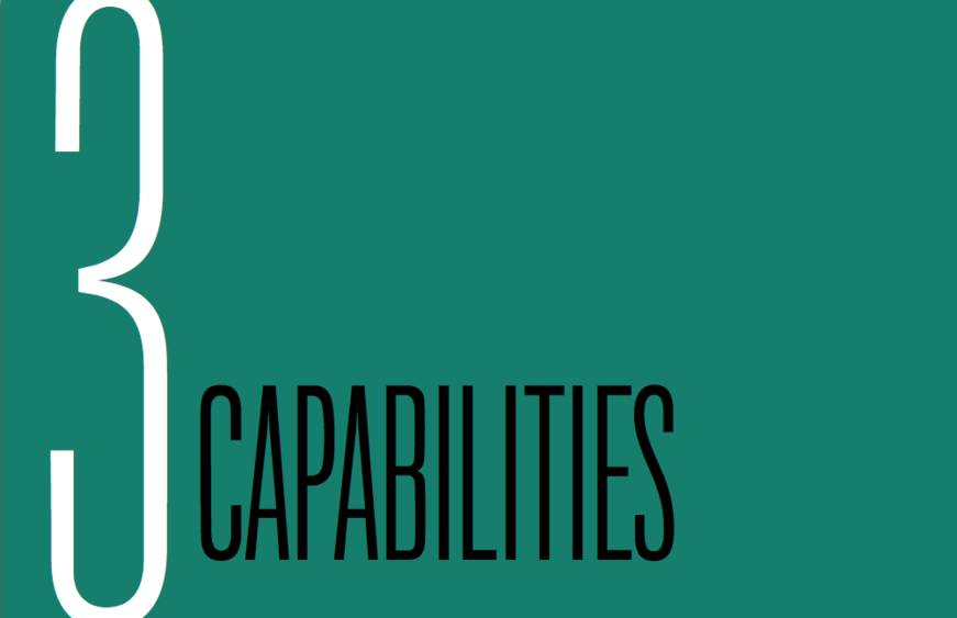 Chapter 3: Capabilities