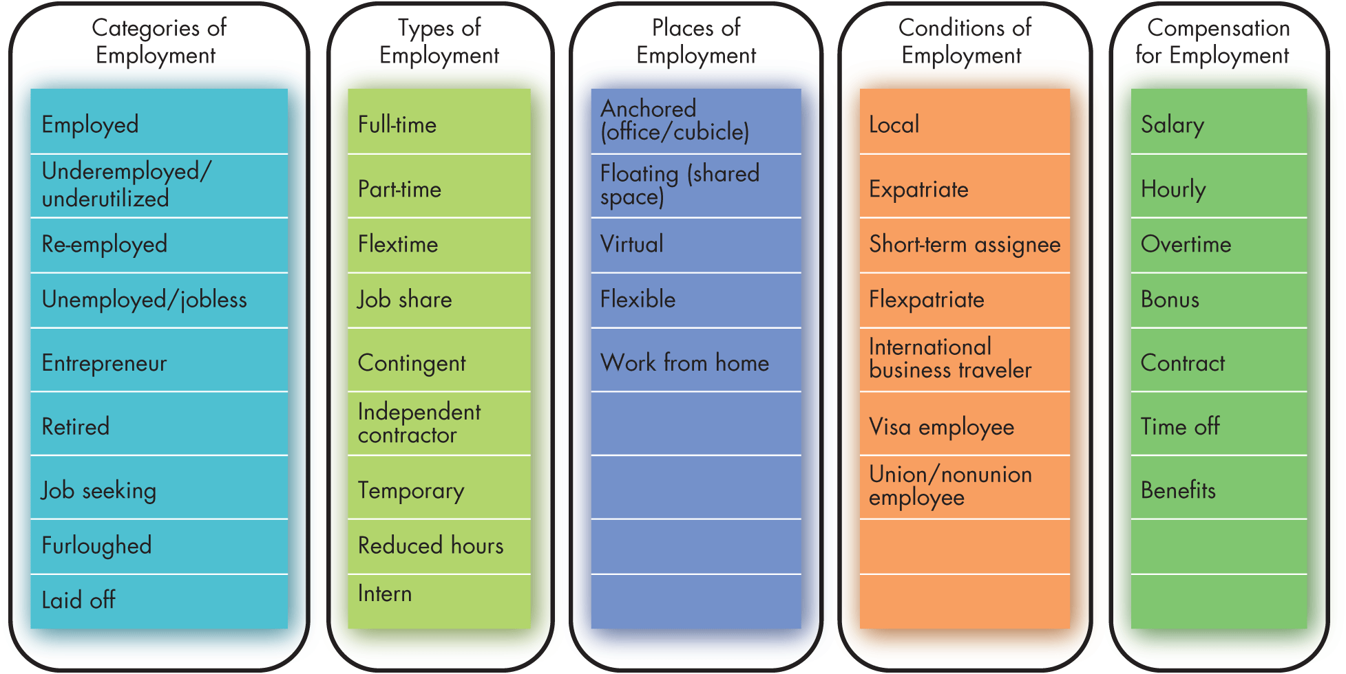 A table presents Employment Options