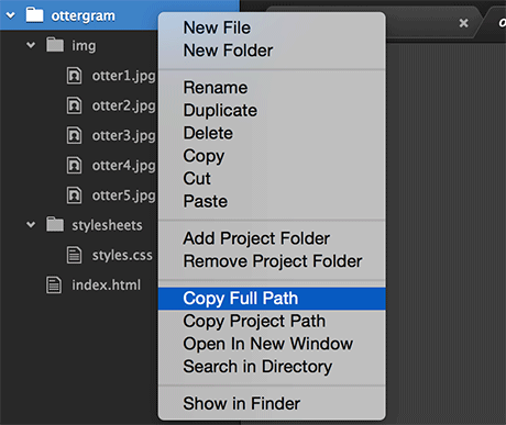 Copying the ottergram folder path from Atom