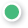 A green circle icon.
