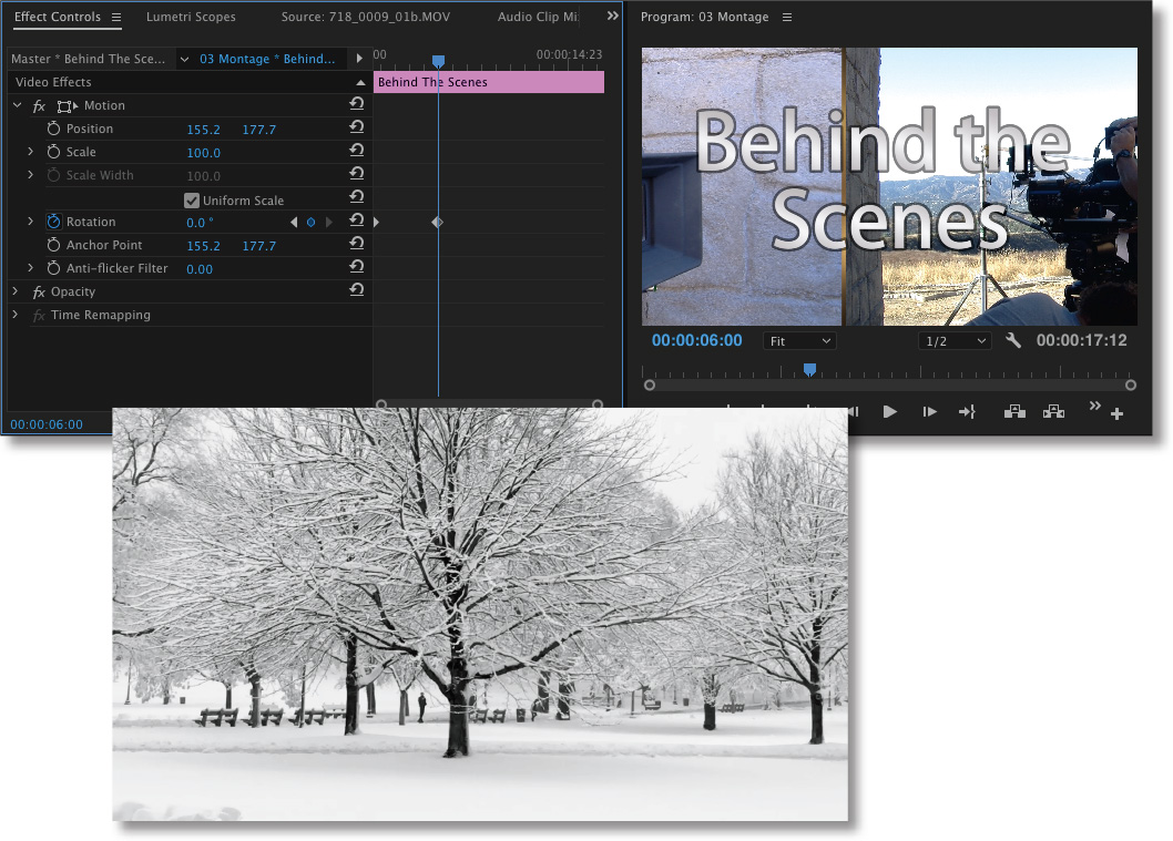 Three cascading screenshots show the Effect Controls panel, the Program monitor, and a full resolution video frame.