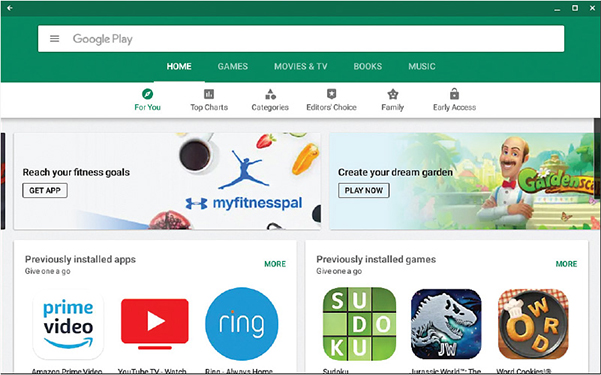 A screenshot shows the Google play store window.
