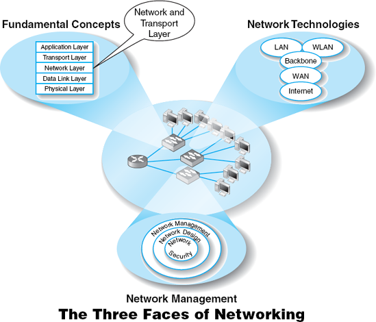 NETWORK AND TRANSPORT LAYERS