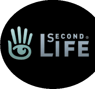 The Meaning of (Second) Life