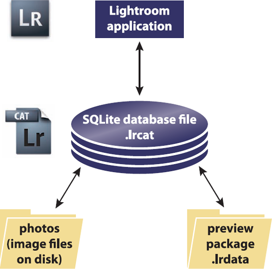 Lightroom data architecture