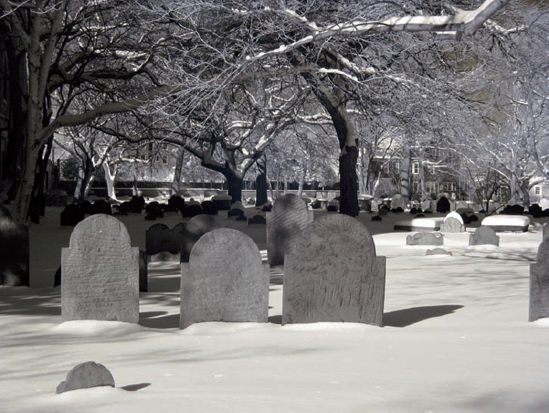 ABOUT THIS PHOTO A winter scene photographed at a cemetery in Boston, Massachusetts, shown without channel mixing and creative enhancements. Taken at ISO 200 with an IR converted compact camera.