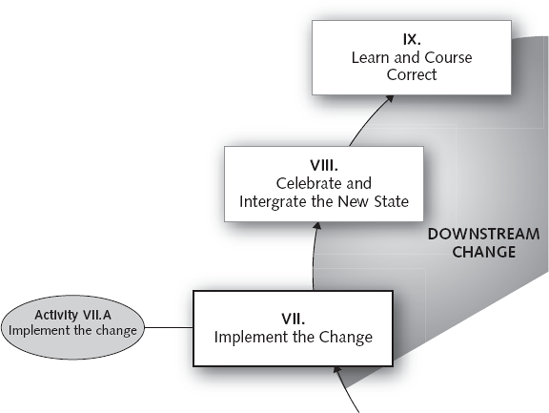 PHASE VII: Implement the Change