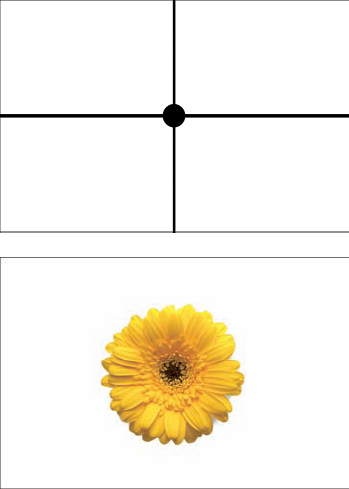 If you look at the grid produced when you have a vertical and horizontal line bisecting the image, you see that any subject placed alone in the center can create a symmetrical and balanced composition, as is the case with the flower shown here. Taken at ISO 800, f/13, and 1/60 second.