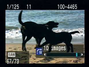 By default, the camera jumps forward or backward by 10 images when you turn the Main dial in playback mode.