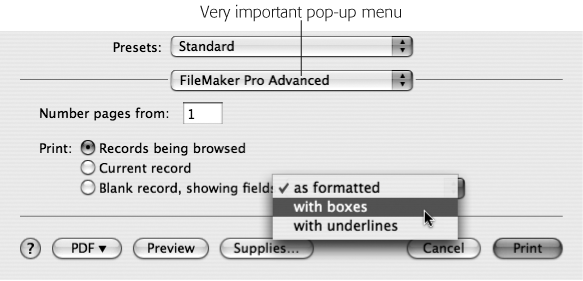 On Mac OS X, FileMaker’s special print options are tucked away in a secret place. You have to choose FileMaker Pro or FileMaker Pro Advanced from this unnamed but very important pop-up menu. In this example, you can see the field styles you can pick from if you elect to print a “Blank record, showing fields.”