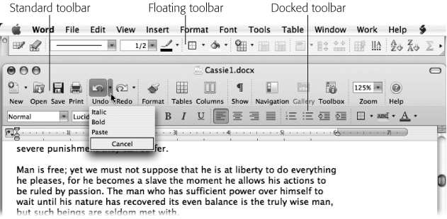 The Standard toolbar is the only one that always appears inside the document window. Some of its commands, like the Undo command, are pop-up buttons. Other toolbars can be either docked in the window, or free floating.