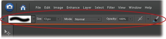 When a tool is active, the Options bar changes to show its available settings (circled). Elements tools are highly customizable, letting you do things like adjust a brush's size and shape. Here you see the options for the Brush tool. (The caterpillar-like thingy at the left is a sample of the stroke you'd get from the current brush settings.)