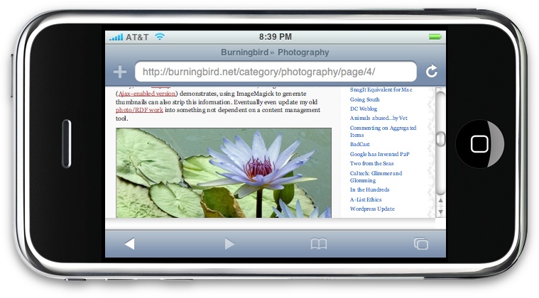 Web page with photograph displayed in the iPhoney emulator