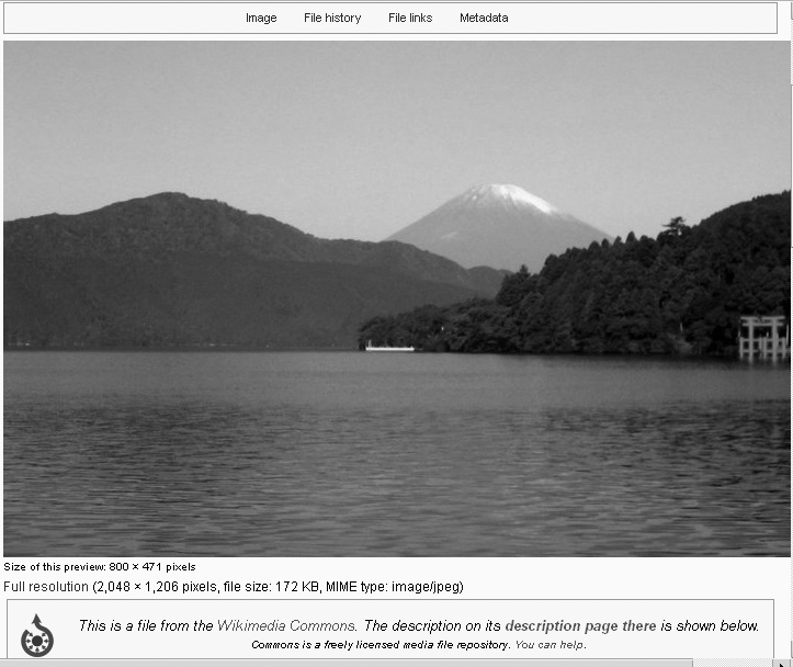 The file Image:Fujisan from Motohakone.jpg is used in the article Tokyo. Clicking the thumbnail image in the article shows you this larger image, though not necessarily a full-sized image. Click "full resolution" to see the full-sized version. Right-click the full-sized image to save it to your computer. You can also save the image as your new desktop background image.