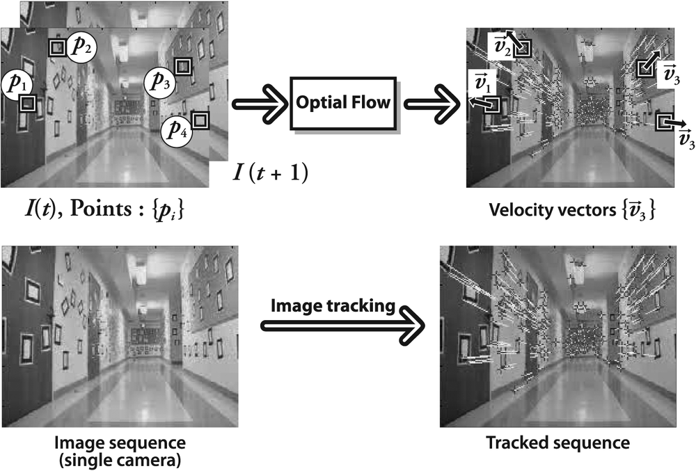 Optical flow: target features (upper left) are tracked over time and their movement is converted into velocity vectors (upper right); lower panels show a single image of the hallway (left) and flow vectors (right) as the camera moves down the hall (original images courtesy of Jean-Yves Bouguet)