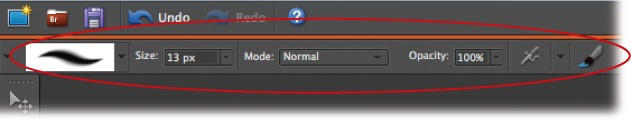 When a tool is active, the Options bar changes to show its available settings (circled). Elements tools are highly customizable, letting you do things like adjust a brush’s size and shape. Here you see the options for the Brush tool. (The caterpillar-like thingy at the left is a sample of the stroke you’d get from the current brush settings.)