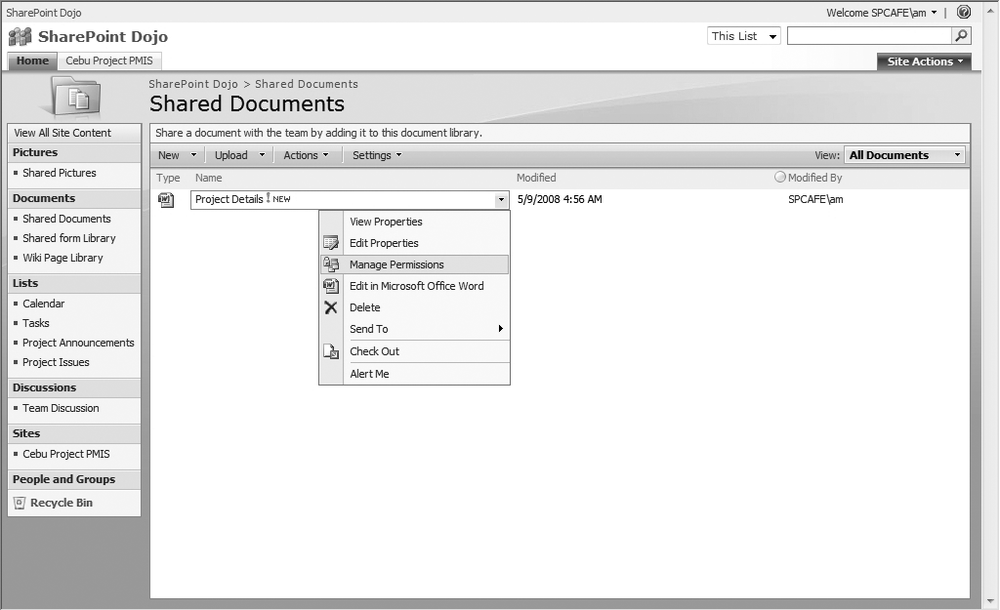 Document library item-level menu