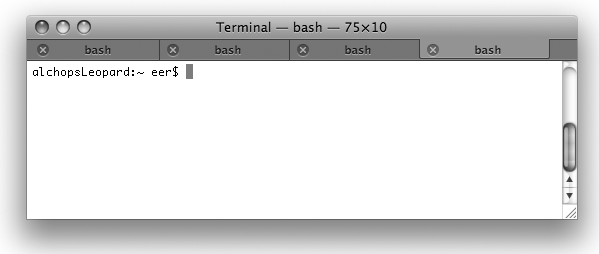 A Terminal window with several tabs