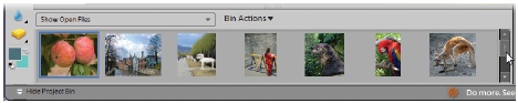 The Project bin runs across the bottom of the Editor’s screen. It holds a thumbnail of every photo you have open, as well as photos you sent over from the Organizer that are waiting to be opened.