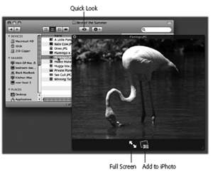 Once the Quick Look window is open, you can play the file (movies and sounds), study it in more detail (most kinds of graphics files), or even read it (PDF, Word, and Excel documents).You can also click another icon, and another, and another, without ever closing the preview; the contents of the window simply change to reflect whatever you’ve just clicked.Supertip: Quick Look even works on icons in the Trash, too, so you can figure out what something is before you nuke it forever.
