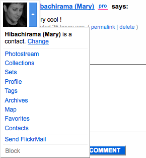 Flickr indicates relationship status in the overlay, activated by clicking the arrow next to the user’s avatar.