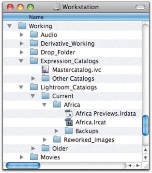 I keep other kinds of works in progress in the Working folder, such as catalogs, movies, and audio files in progress.