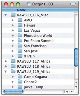 I keep my original files in buckets that live on a series of drives labeled Original_01, Original_02, and Original_03. The Bluray-sized buckets of images live on the drive. Small assignments are grouped together in a bucket like 116_Misc. Large assignments, like the Africa pictures, can be spread across multiple buckets.