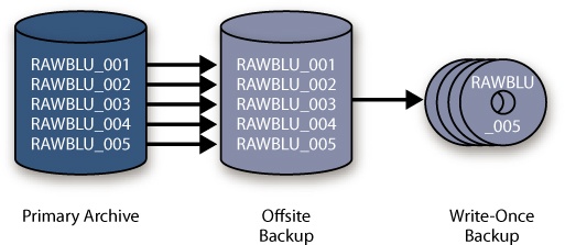 The bucket system enables easy confirmation that you have backed up your image files, even if you are using different-sized storage devices—or different media entirely—for your backups. From left to right, these images represent the primary drive with the master original files, the hard drive backups of the originals (perhaps on smaller disks), and the second backup copies on optical media.