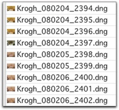 As you can see, if you use a database-style date near the front of the file name, your files will line up in chronological order. This is even more important if you use the DNG format because the filesystem will see date created as the date the DNG was made, not the date the picture was taken.