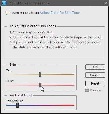 When this dialog box appears, your cursor turns into a little eyedropper when you move it over your photo. Just click the best-looking area of skin you can find. You won’t see any sliders in the tracks until you click. After Elements adjusts the photo based on your click, the sliders appear and you can use them to fine-tune the results. Clicking different spots gives different results, so you may want to experiment by clicking various places.