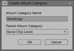 To create a new album category, give it a name and choose whether it’s at the top level or within another album category.
