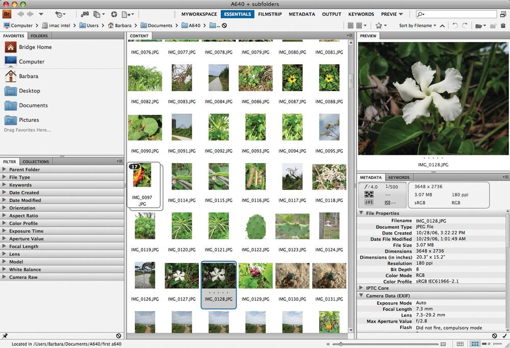 Bridge makes it easy to find photos to work with in Elements. You can see info about your photos in the lower-right Metadata panel, and assign keywords to your images using the Keywords panel (hidden here).