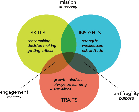 Venn diagram shows three circles representing skills, insights and traits for Alpine Style Model. The overlapping areas are labeled as mission autonomy, antifragility purpose and engagement mastery.