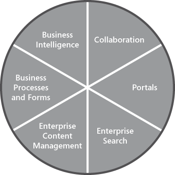 SharePoint Server provides a full suite of functionality for business.