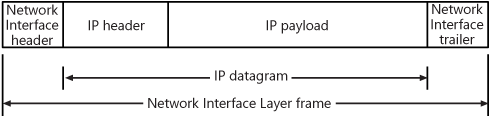 The structure of the IP datagram at the Network Interface layer