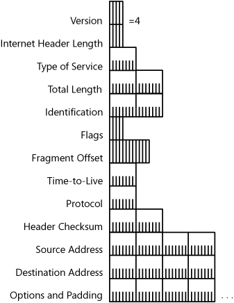 The structure of the IP header