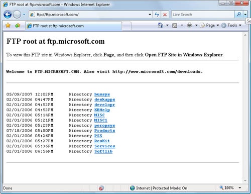 FTP listings in an Internet Explorer window use this bare-bones text format.