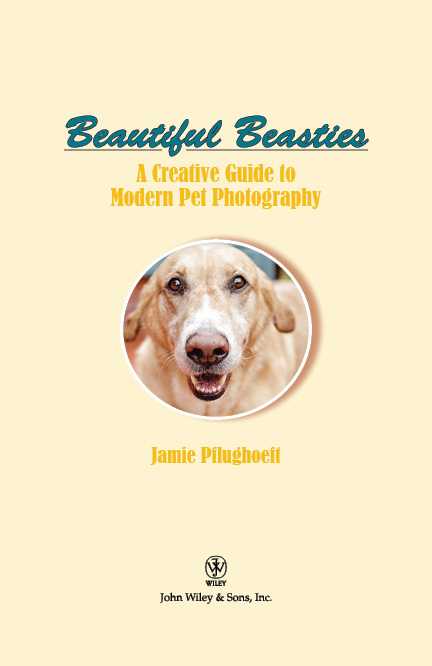  - Beautiful Beasties: A Creative Guide to Modern Pet  Photography [Book]