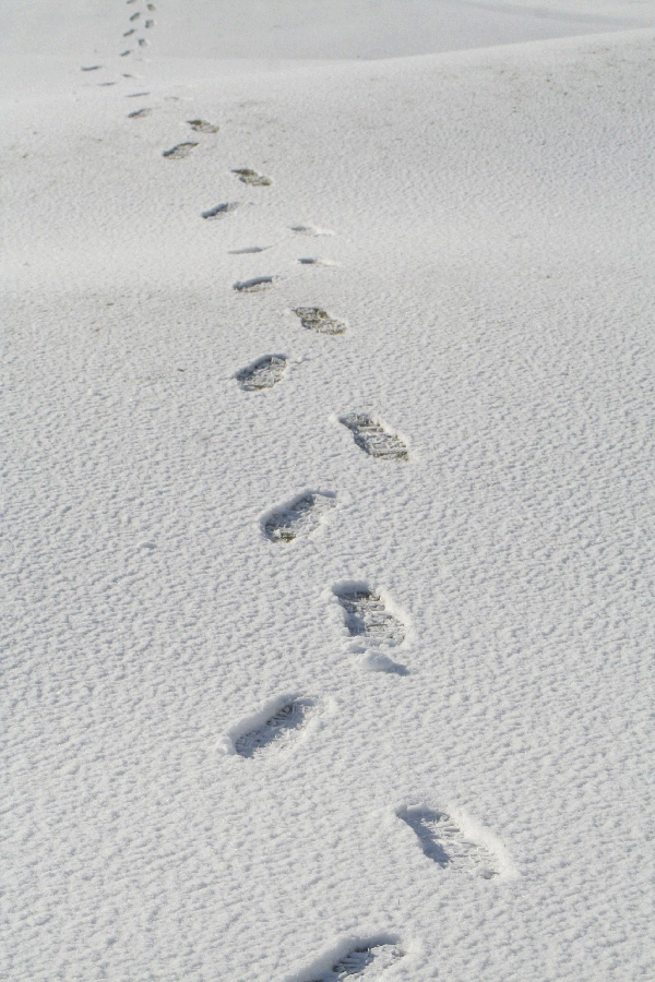 Photograph depicting a trail of foot-prints on snow-covered area.