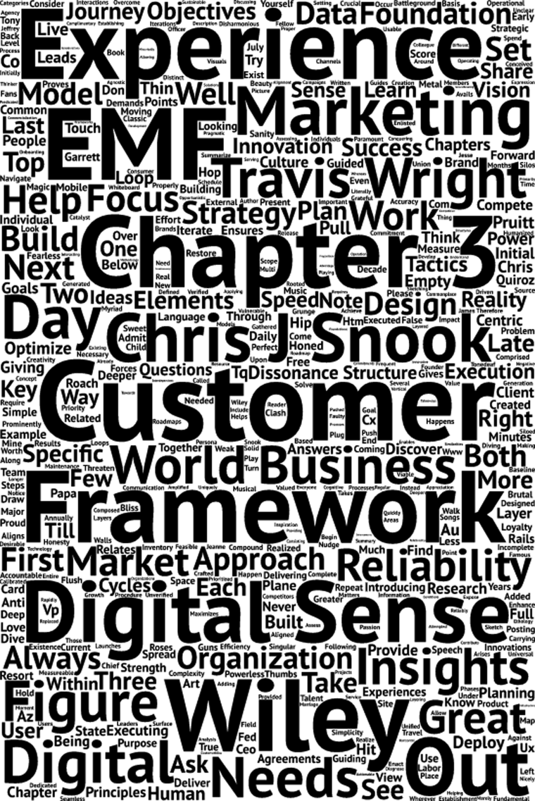Figure depicting a word cloud with few words, for example, experience, EMF, marketing, and so on represented in bold, and other words are presented in the lower fonts.