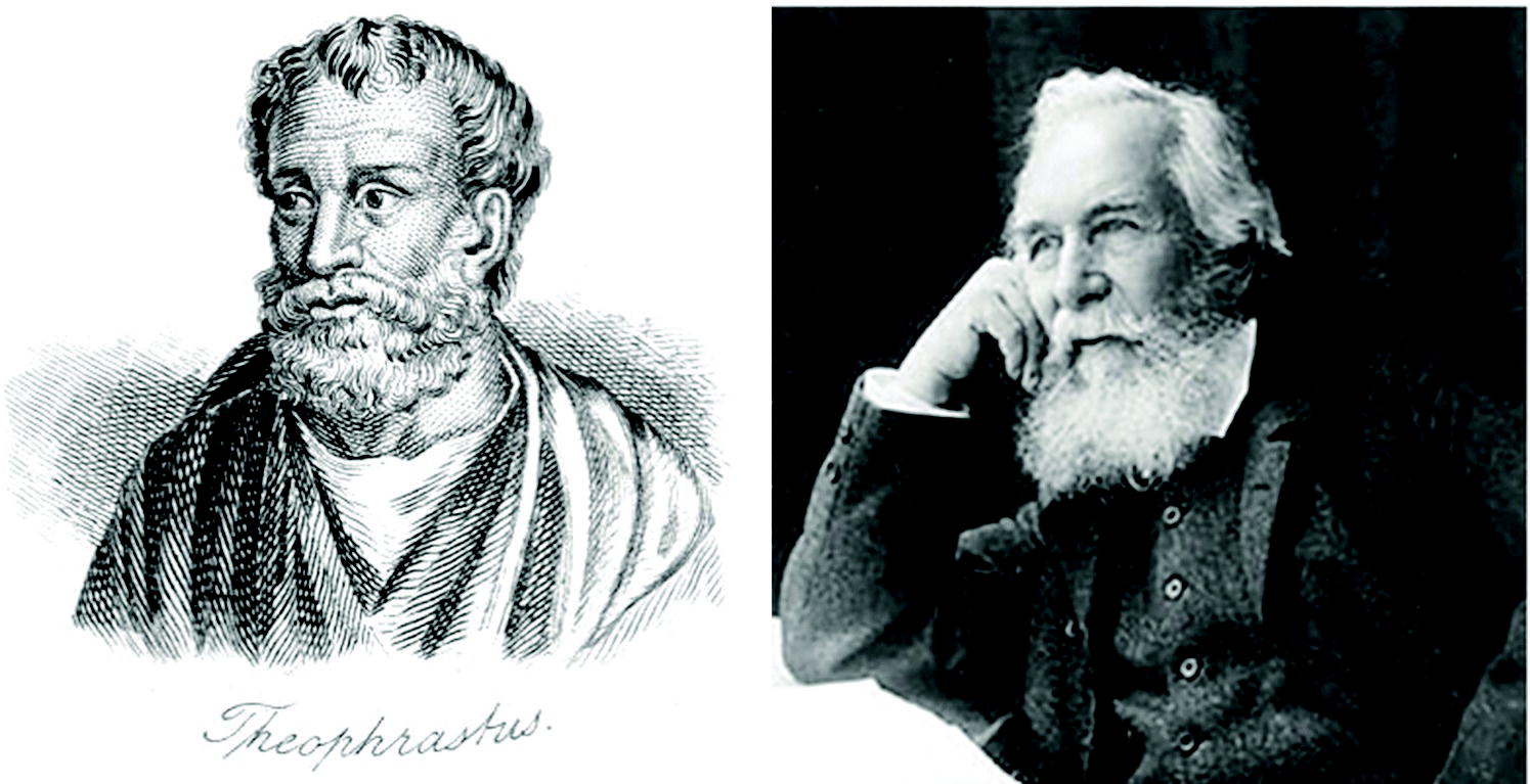 Drawing of the Greek Philosopher Theophrastus (left) and photo of the German ecologist Ernst Haeckel (right).