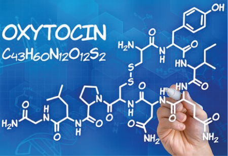 Illustration of the Oxytocin and its chemical formila written on the board.