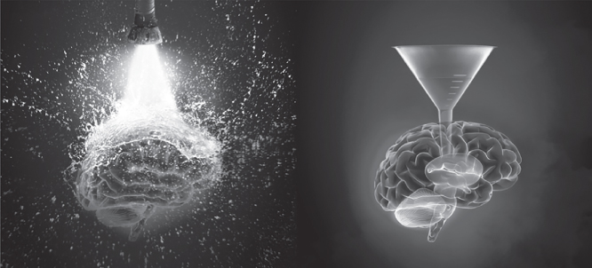 3D brain model splashed with water from a nozzle (left) and inserted with a funnel (right).