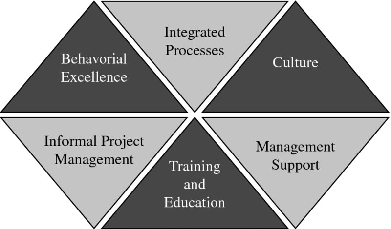 Diagram shows hexagon formed by six triangles with labels for integrated processes, culture, management support, training and education, informal project management, and behavioral excellence.