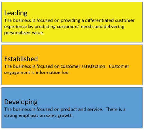 The figure shows three rectangular boxes representing the first EY Driver of Growth that is “Customer.”
Box 1: Leading represents “The business is focused on providing a differentiated customer experience by predicting customers’ needs and delivering personalized value.”
Box 2: Established represents “The business is focused on customer satisfaction. Customer engagement is information-led.”
Box 3: Developing represents “The business is focused on product and services. There is a strong emphasis on sales growth.”
