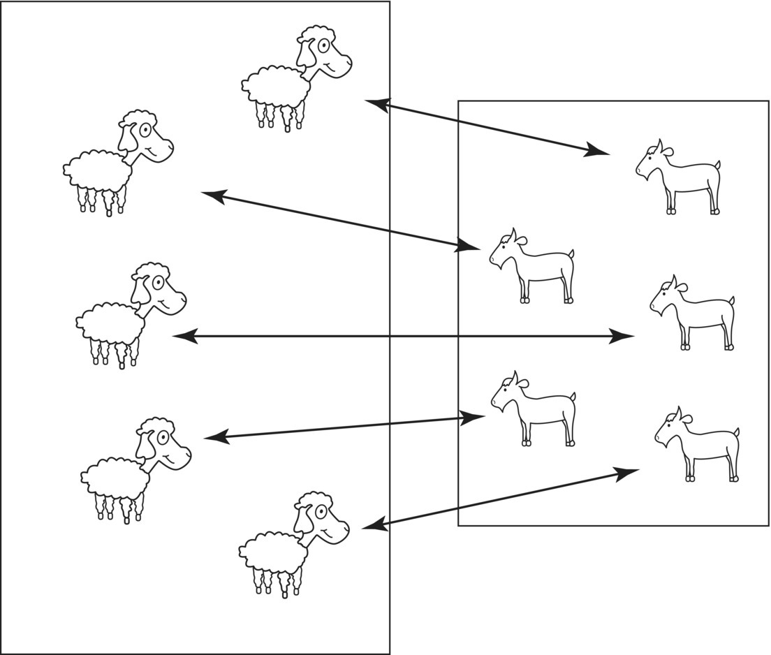 Diagram displaying a box with five sheep (left) with double-headed arrows linking to a box with five goats (right).