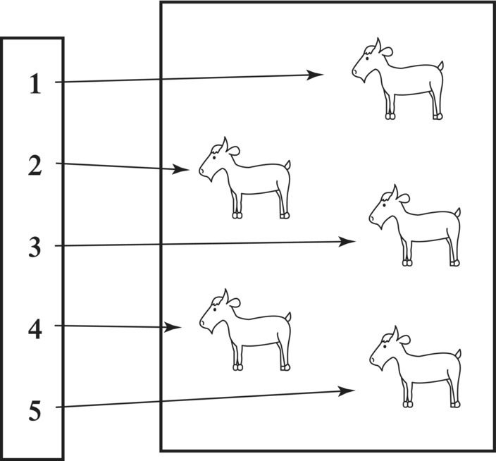 Diagram of modern way to count displaying five goats with corresponding numbers from 1 to 5 linked by arrows.