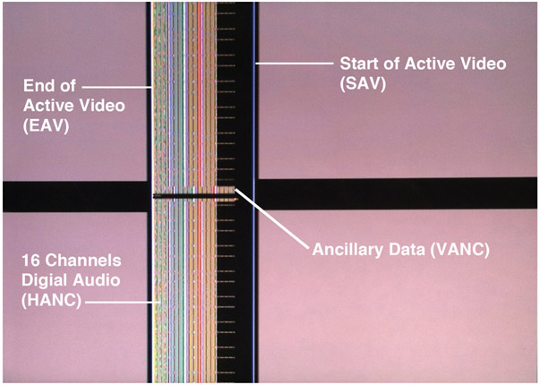 Plate 1 (Figure 4.1) Digital Data Bursts in a Cross Pulse Display