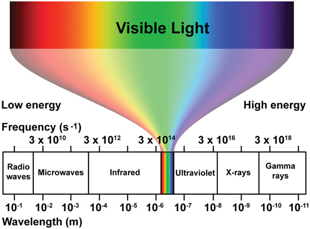 Plate 2 (Figure 5.2) Light Spectrum