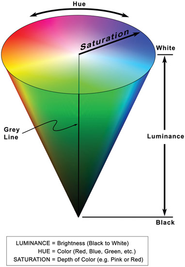 Plate 5 (Figure 6.4) Color Vector Cone